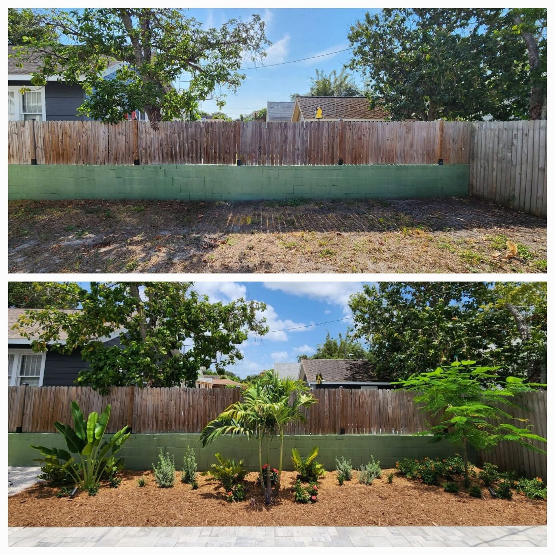 Before and after: a bare block-wall yard turned into a mulched privacy border with new palms and shrubs